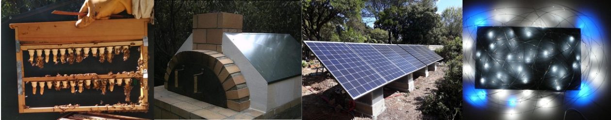 Les passions de Denis