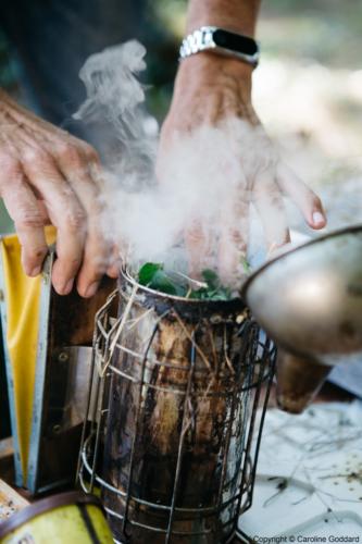 180730 CarolineGoddard Provence 065B