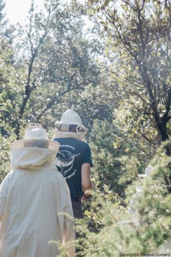 180730 CarolineGoddard Provence 075B