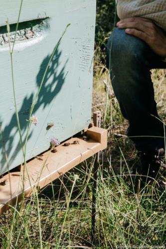 180730 CarolineGoddard Provence 077B