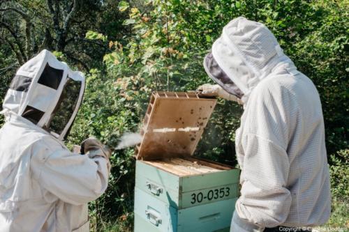 180730 CarolineGoddard Provence 078B