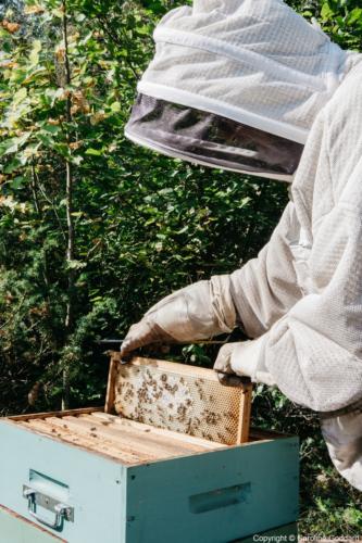 180730 CarolineGoddard Provence 079B