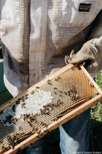 180730 CarolineGoddard Provence 081B