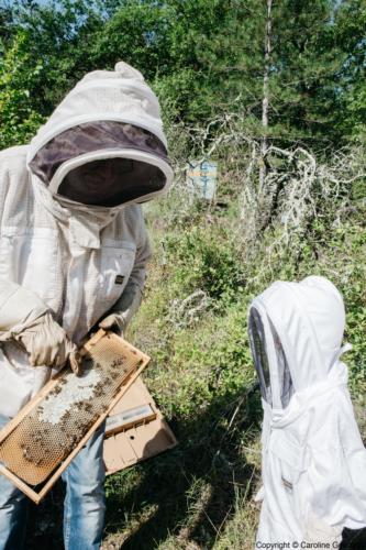 180730 CarolineGoddard Provence 082B