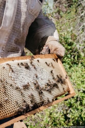 180730 CarolineGoddard Provence 083B