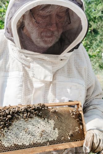 180730 CarolineGoddard Provence 084B