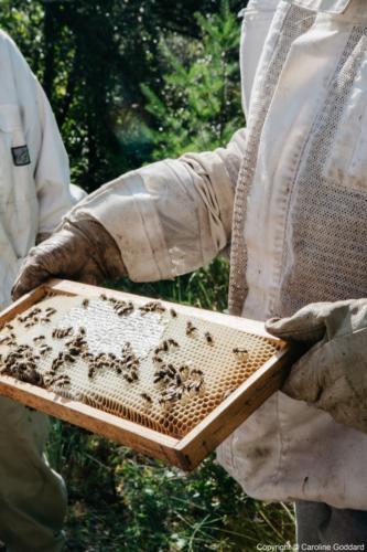 180730 CarolineGoddard Provence 085B