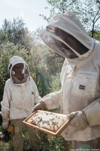 180730 CarolineGoddard Provence 086B