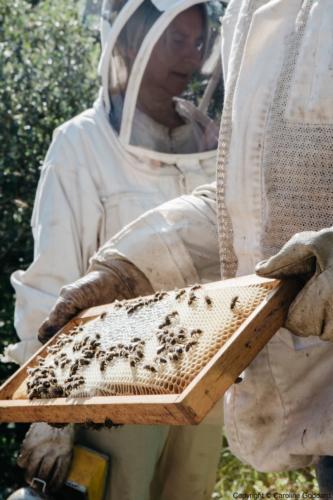 180730 CarolineGoddard Provence 087B