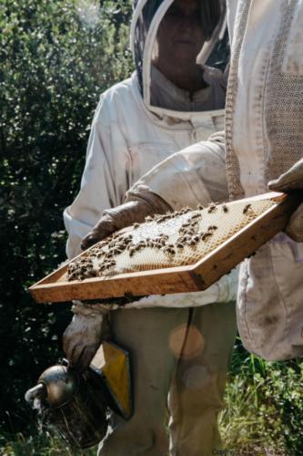 180730 CarolineGoddard Provence 088B