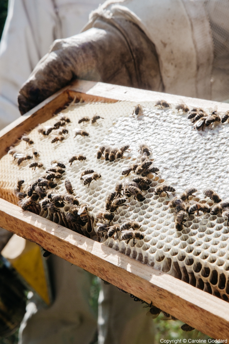 180730 CarolineGoddard Provence 090B