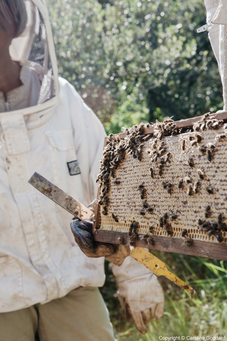 180730 CarolineGoddard Provence 091B