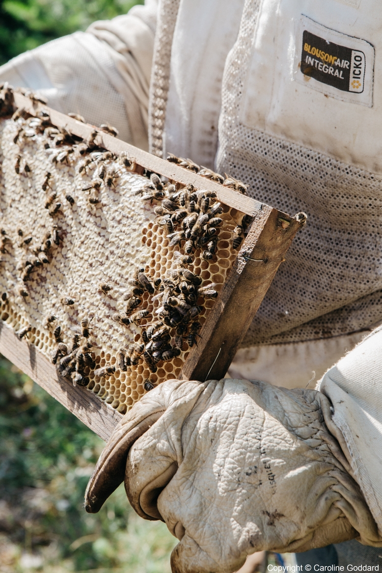 180730 CarolineGoddard Provence 092B