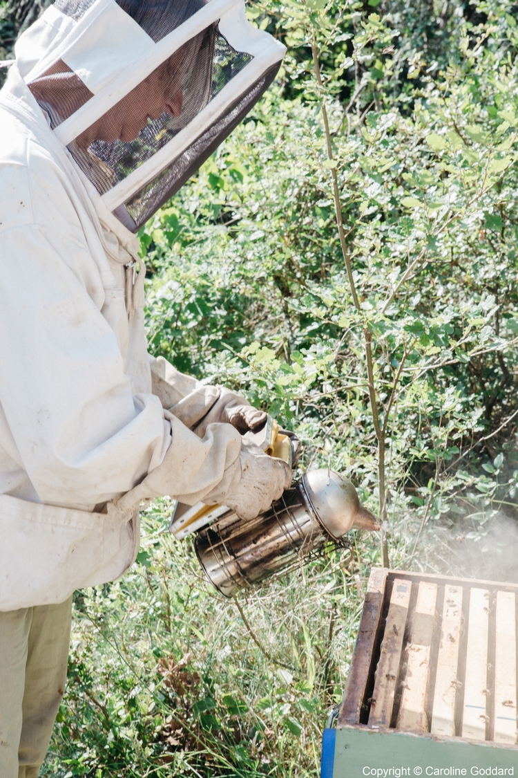 180730 CarolineGoddard Provence 093B