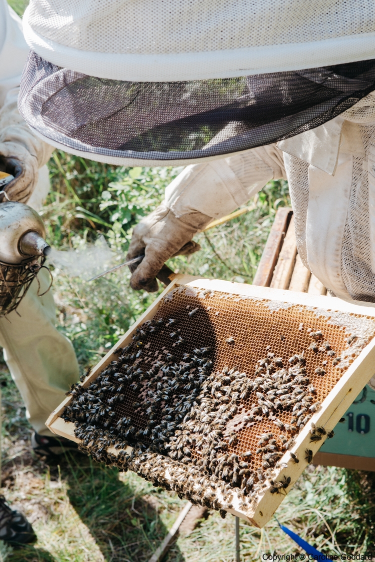 180730 CarolineGoddard Provence 094B