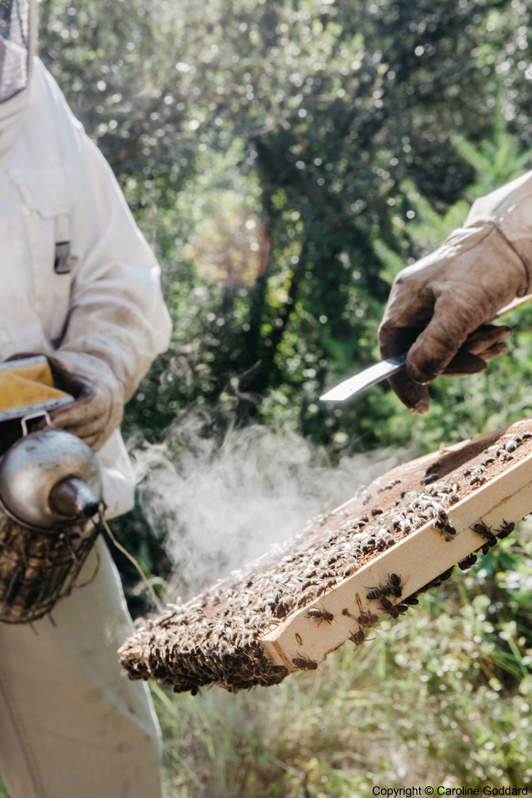180730 CarolineGoddard Provence 095B