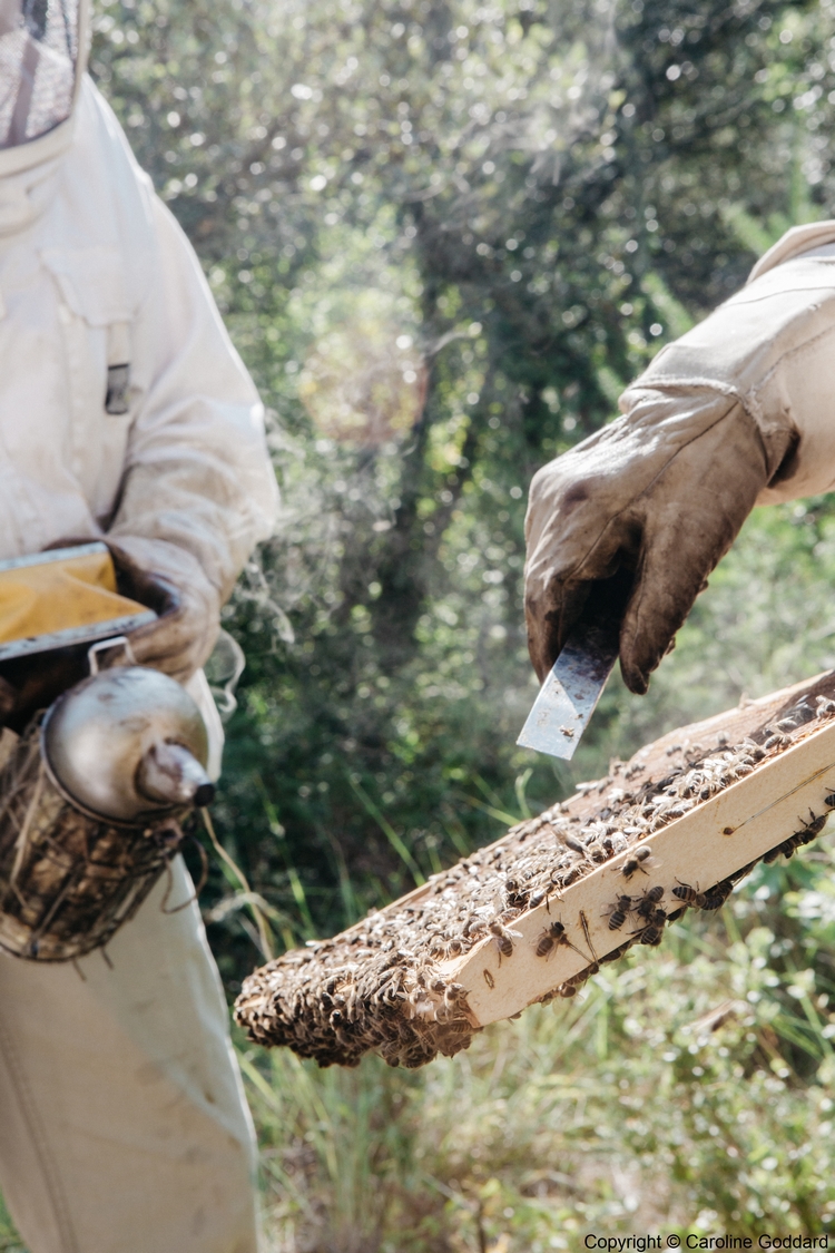 180730 CarolineGoddard Provence 096B