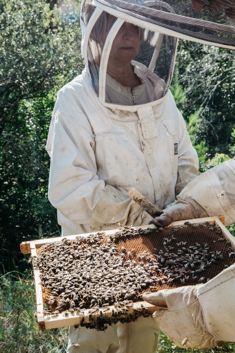 180730 CarolineGoddard Provence 097B