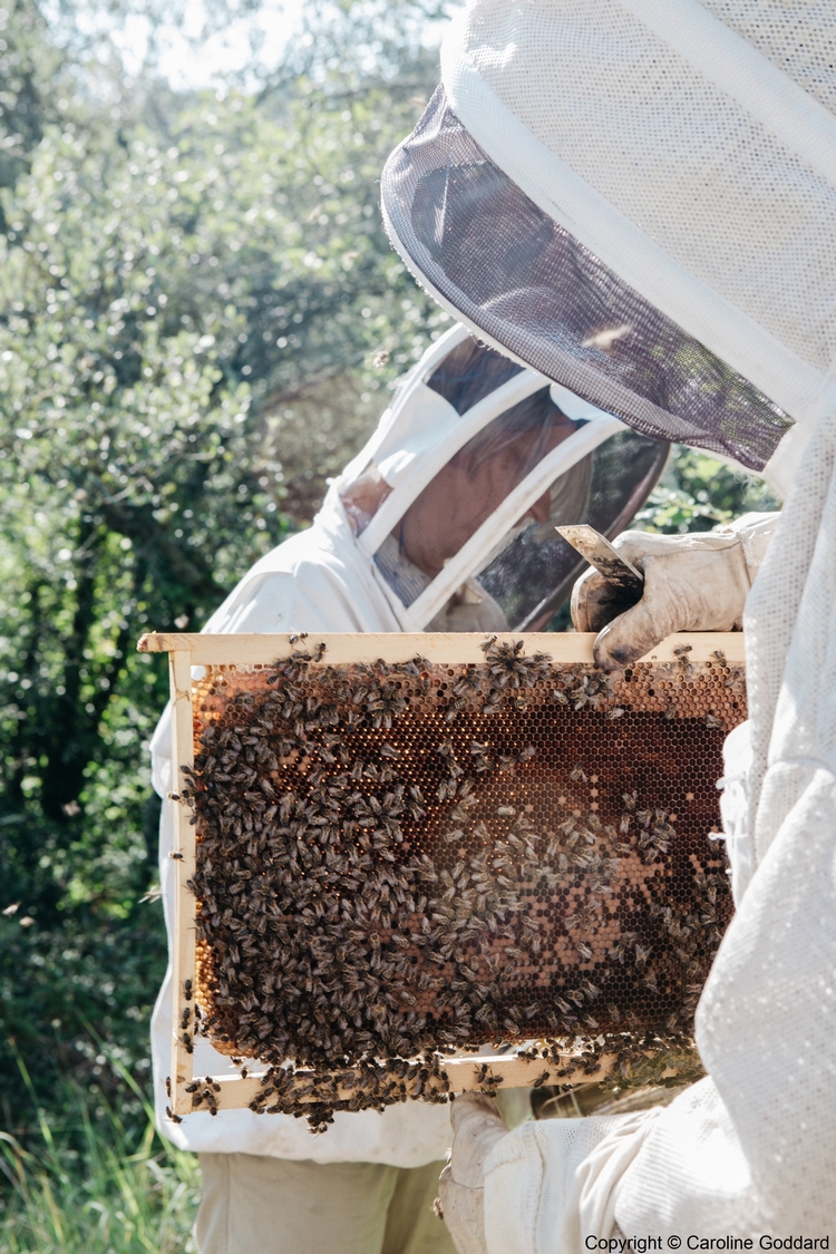 180730 CarolineGoddard Provence 098S