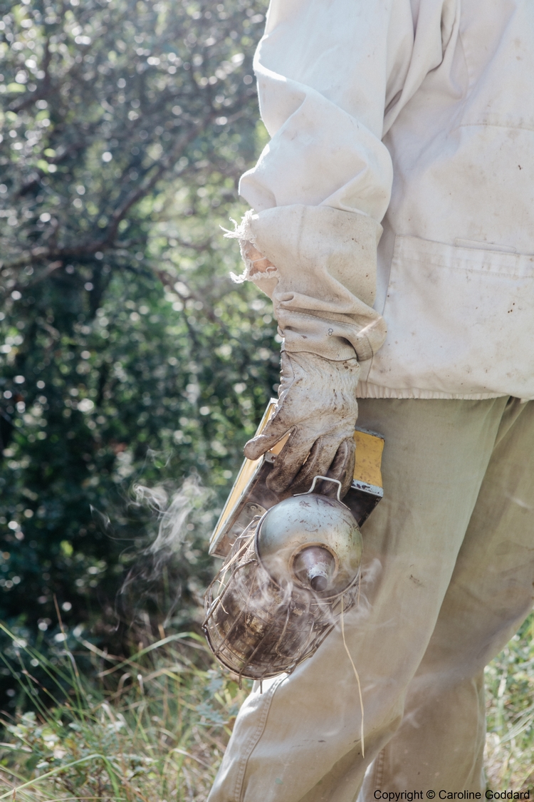 180730 CarolineGoddard Provence 100B