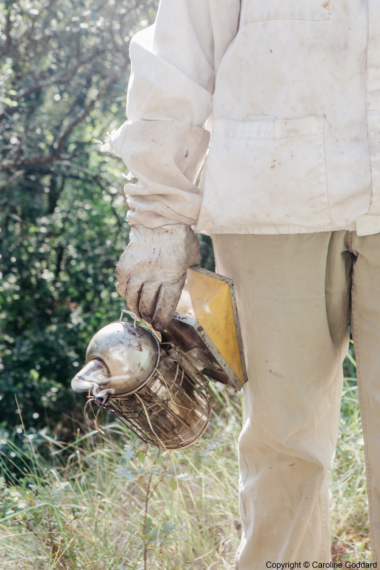 180730 CarolineGoddard Provence 101B