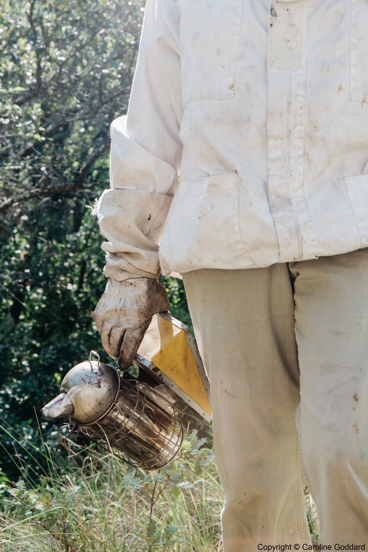 180730 CarolineGoddard Provence 102B