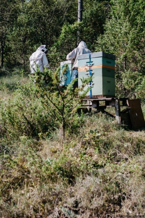 180730 CarolineGoddard Provence 103B