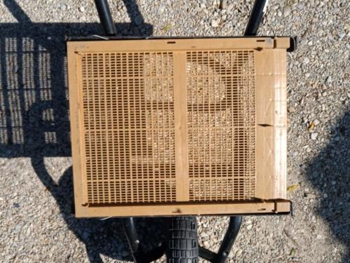 IMG_20200329_161709551