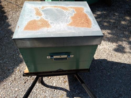 IMG_20200329_161843919