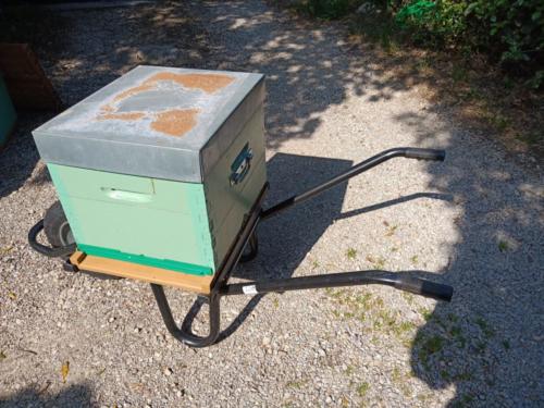 IMG_20200329_161849710