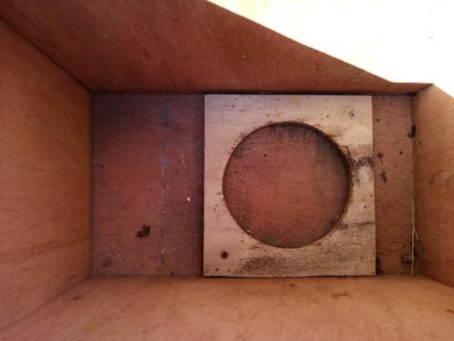 Fond avec emplacement de l'enfumoir