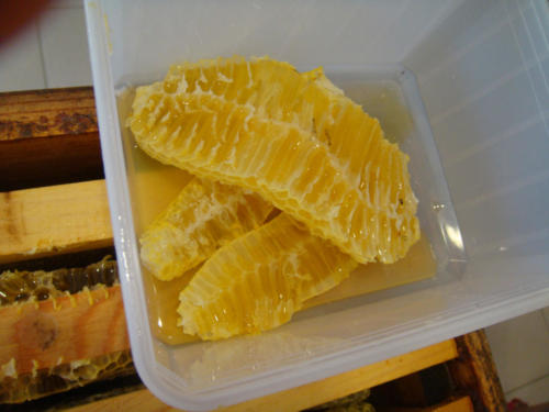 recolte du miel CFA 2012 013