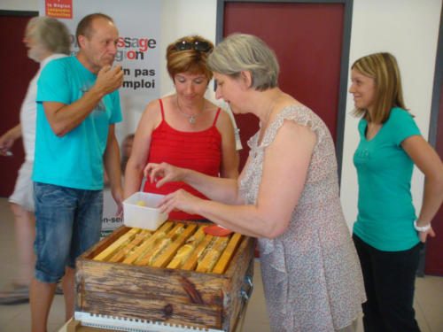 recolte du miel CFA 2012 014