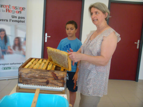 recolte du miel CFA 2012 015