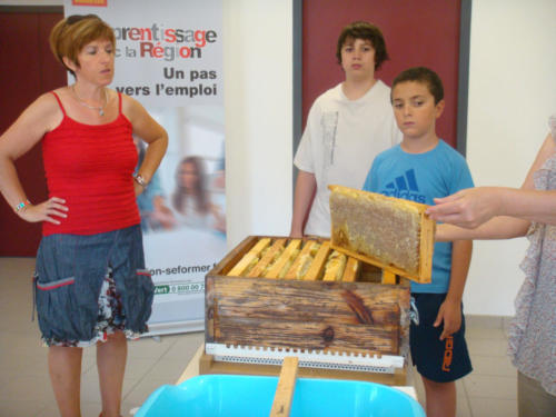 recolte du miel CFA 2012 017