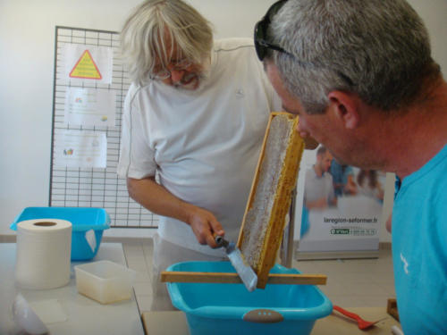 recolte du miel CFA 2012 018