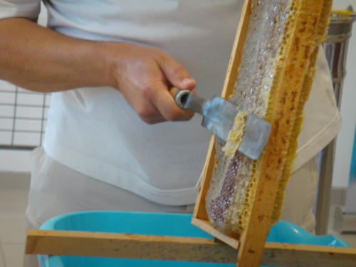 recolte du miel CFA 2012 019