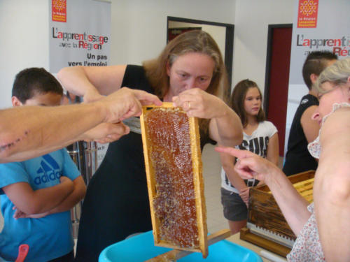 recolte du miel CFA 2012 025