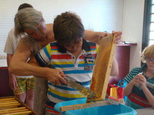 recolte du miel CFA 2012 029