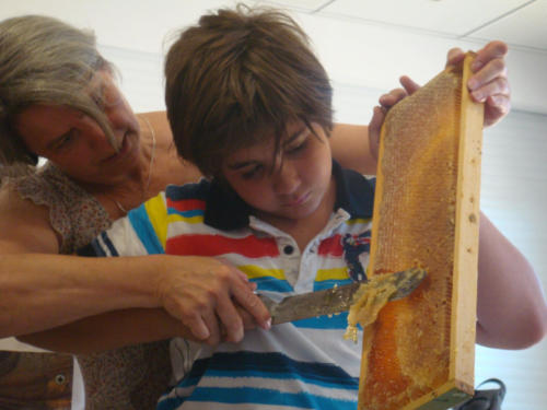 recolte du miel CFA 2012 030