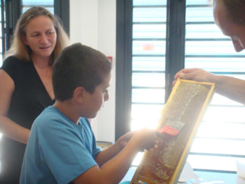 recolte du miel CFA 2012 032