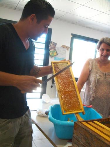 recolte du miel CFA 2012 037