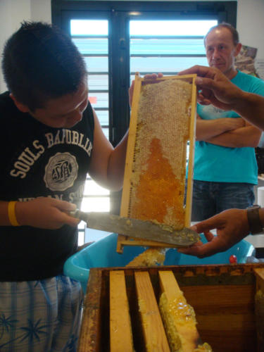 recolte du miel CFA 2012 040