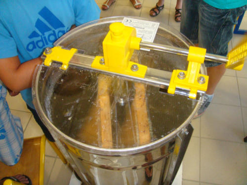 recolte du miel CFA 2012 042