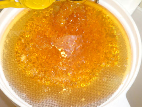 recolte du miel CFA 2012 045