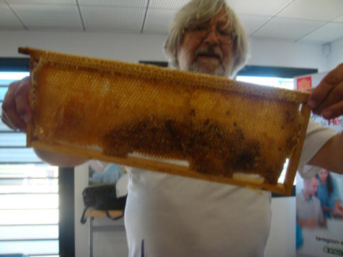 recolte du miel CFA 2012 046