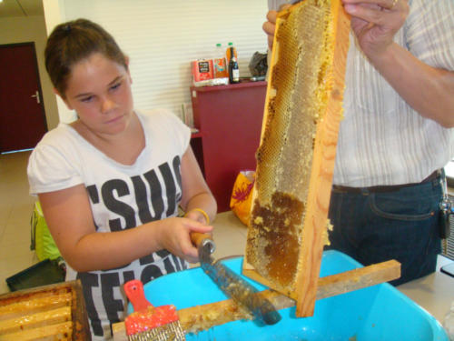 recolte du miel CFA 2012 053