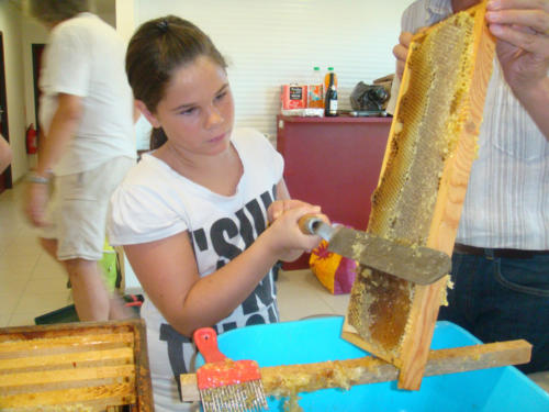 recolte du miel CFA 2012 054