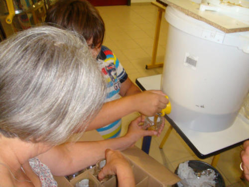 recolte du miel CFA 2012 063